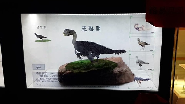 ͸չ񻥶ϵͳ