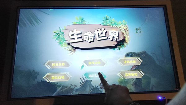 紥ѯϵͳ