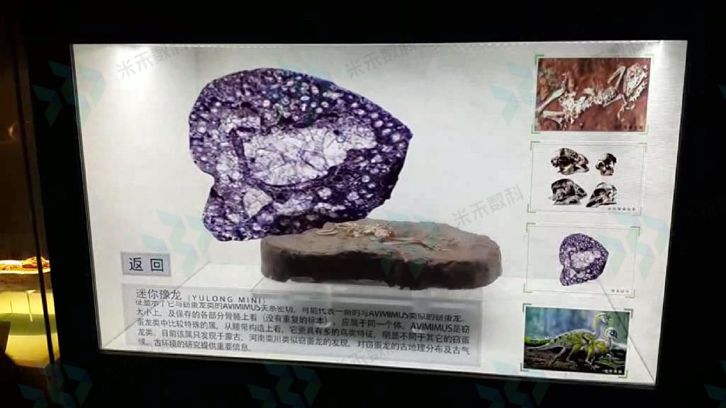 Һ͸񻥶ϵͳ